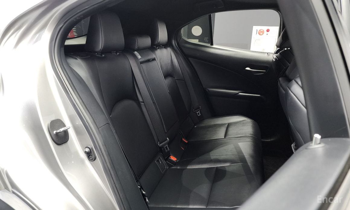 Lexus UX250h2.0 F-Sport 2WD №13
