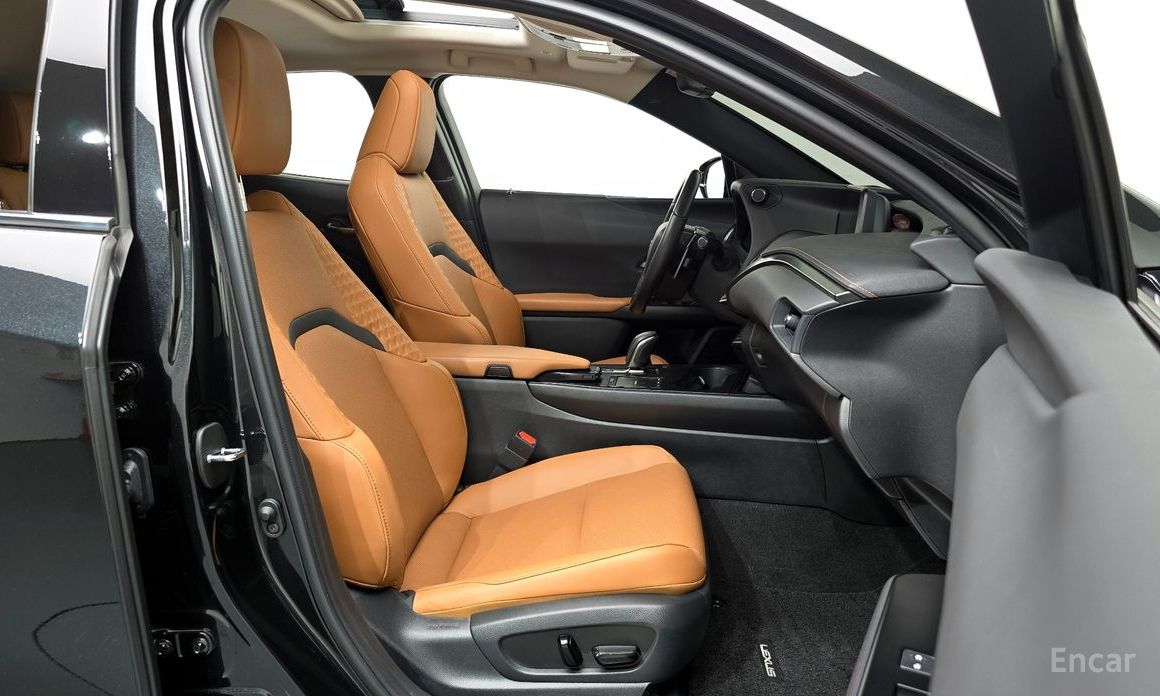 Lexus UX300e2WD №11
