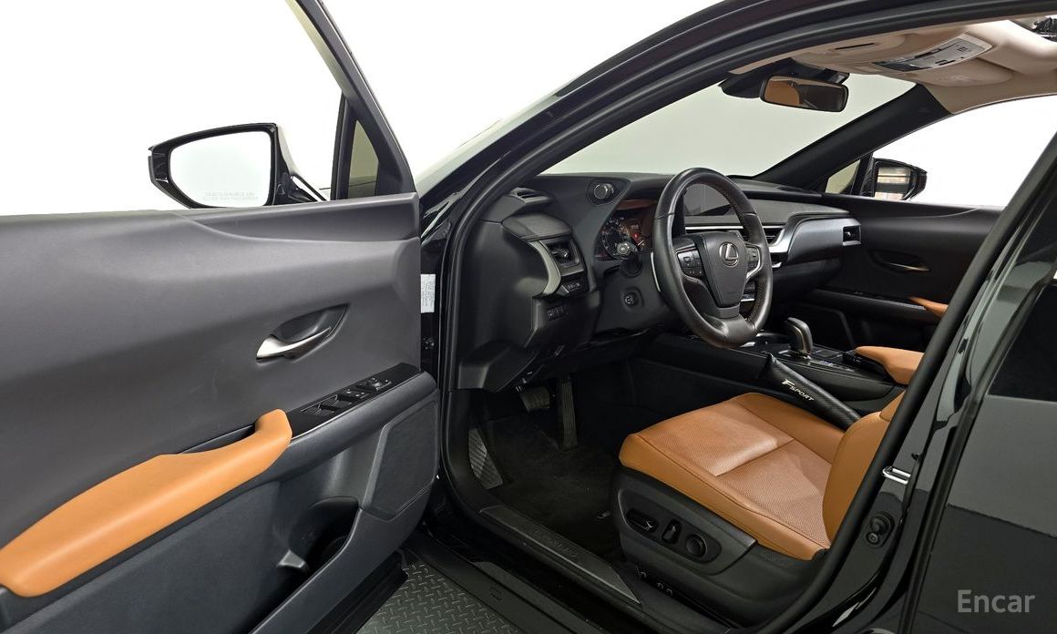 Lexus UX300e2WD №12