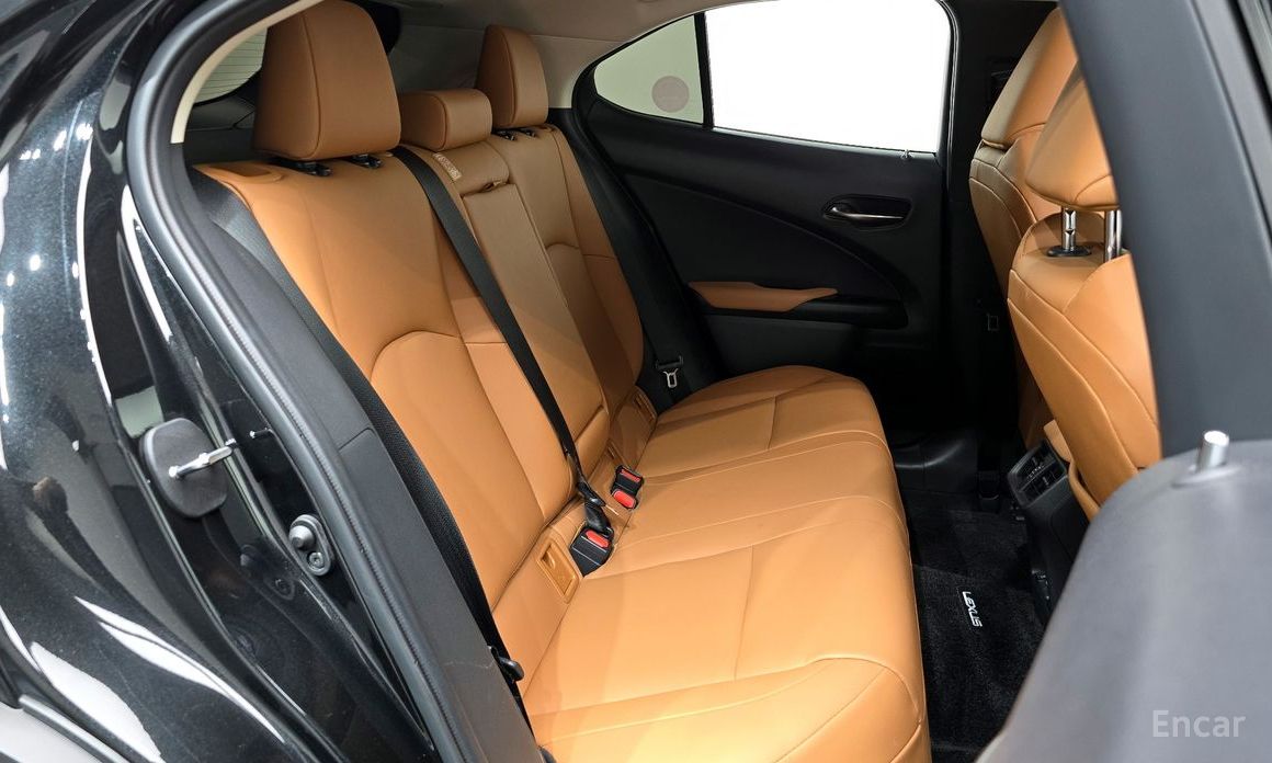 Lexus UX300e2WD №13