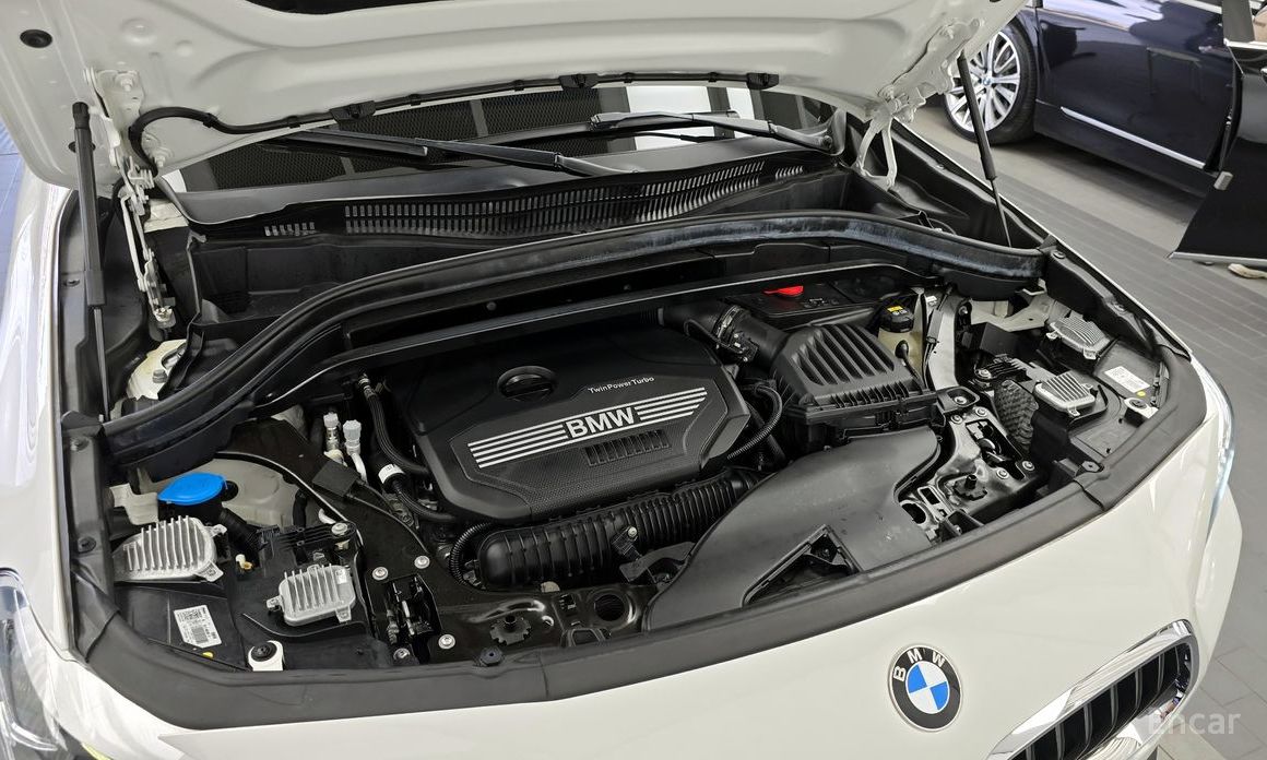 X2 (F39)xDrive20i Advantage 7
