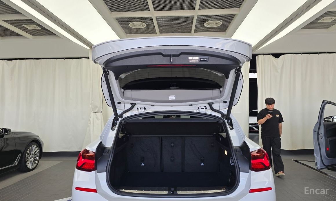 X2 (F39)xDrive20i Advantage 21