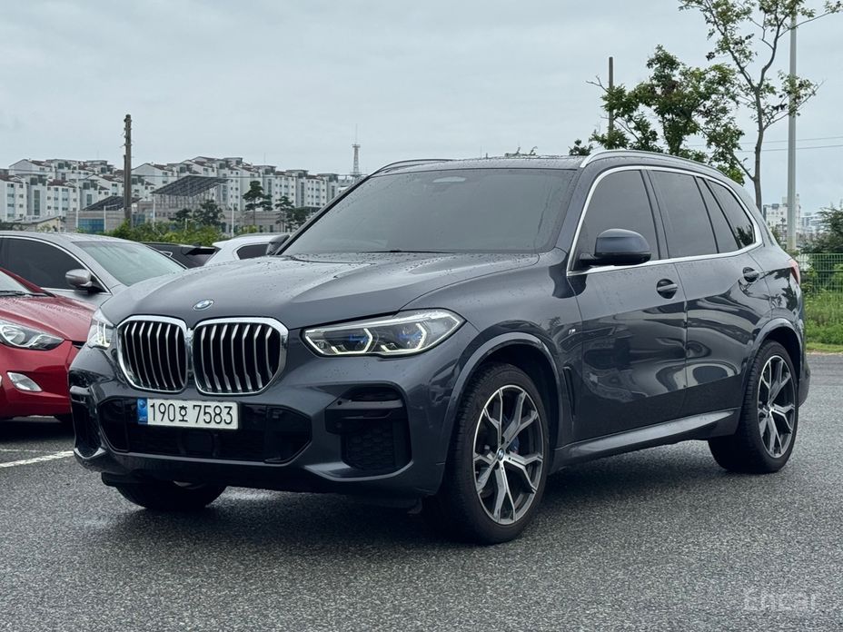 X5 (G05)xDrive 30d M Sport 2