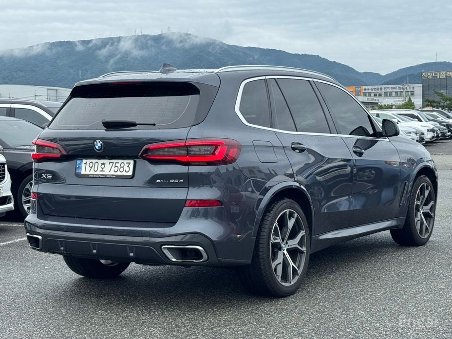 X5 (G05)xDrive 30d M Sport 3