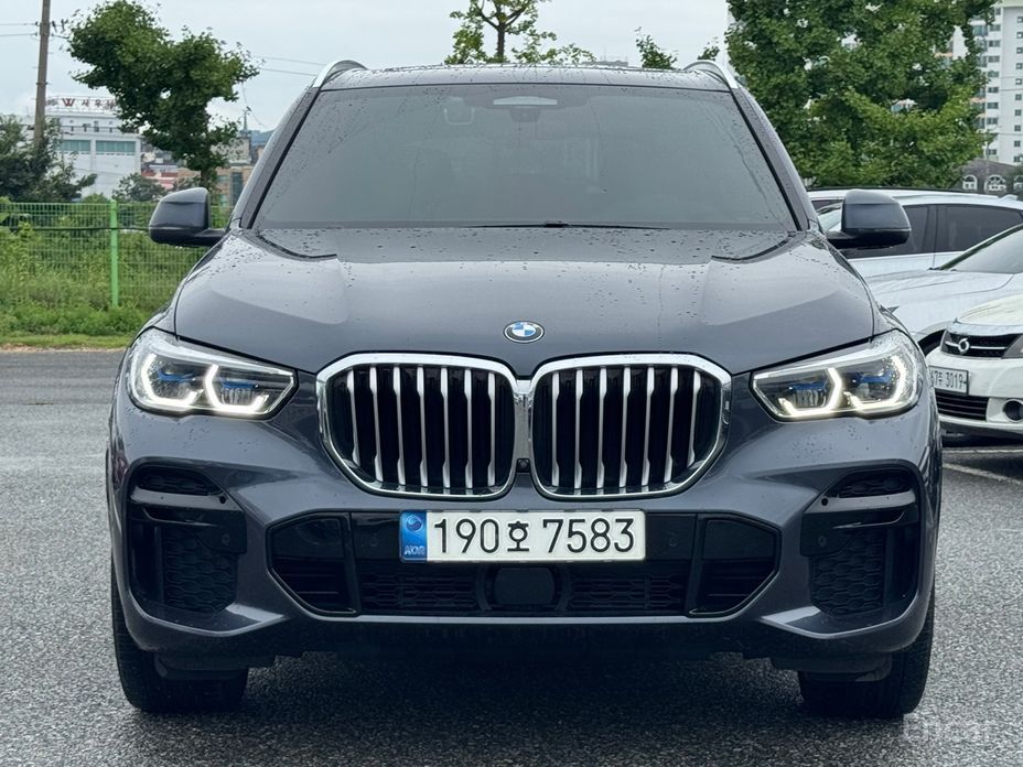 X5 (G05)xDrive 30d M Sport 4