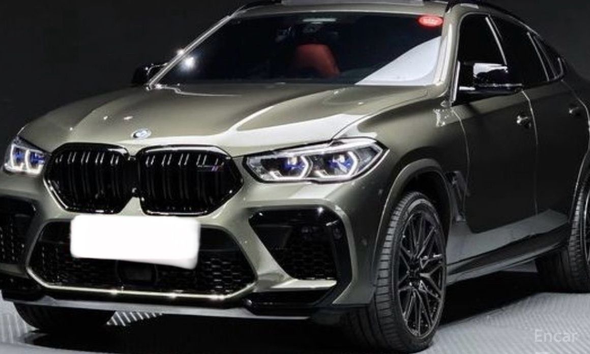 X6M (G06) 4.4 Competition 6