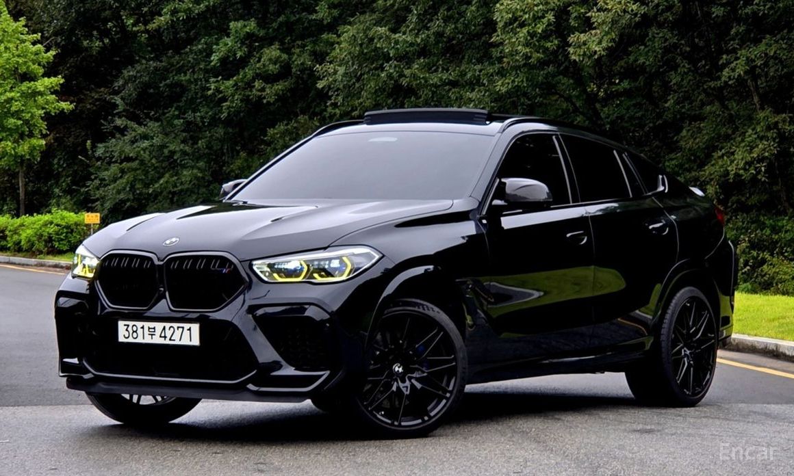 X6M (G06) 4.4 Competition 3