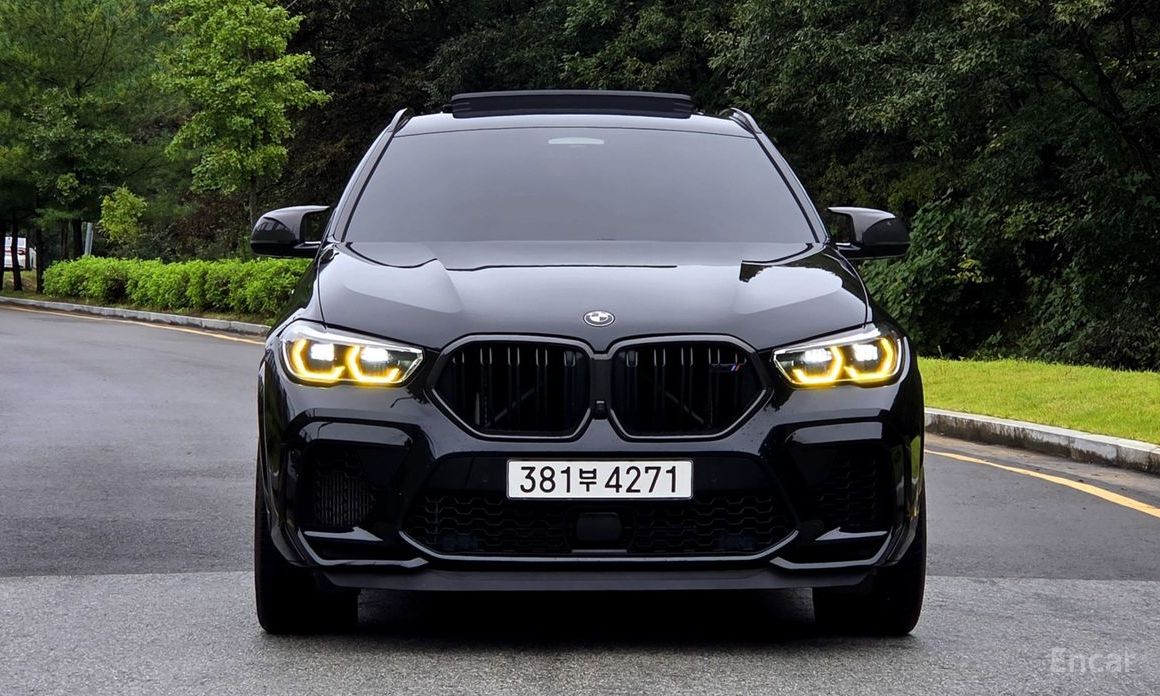 X6M (G06) 4.4 Competition 5