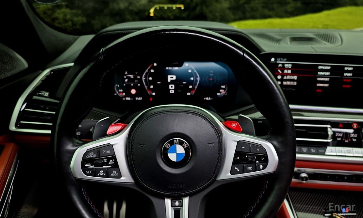 X6M (G06) 4.4 Competition 13