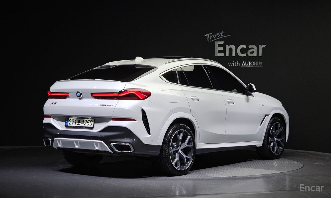 X6 (G06)xDrive30d M Sport 3