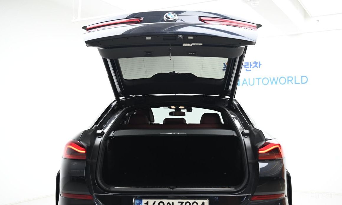 X6 (G06)xDrive30d M Sport 21