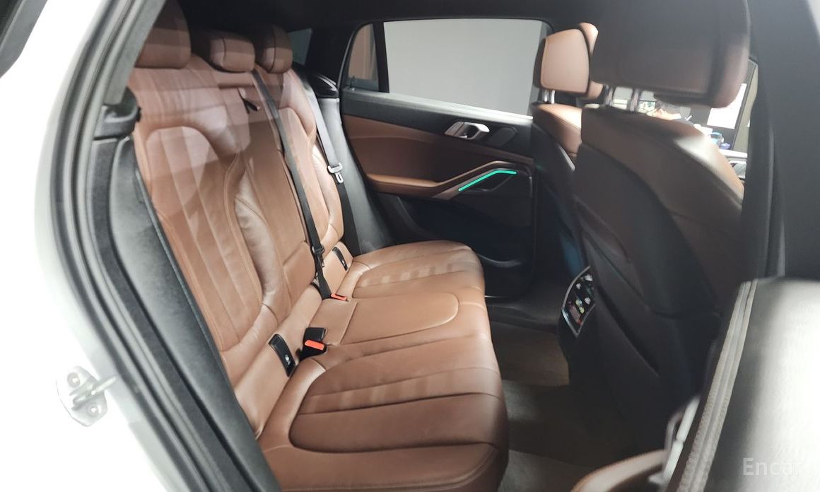 X6 (G06)xDrive30d M Sport 13