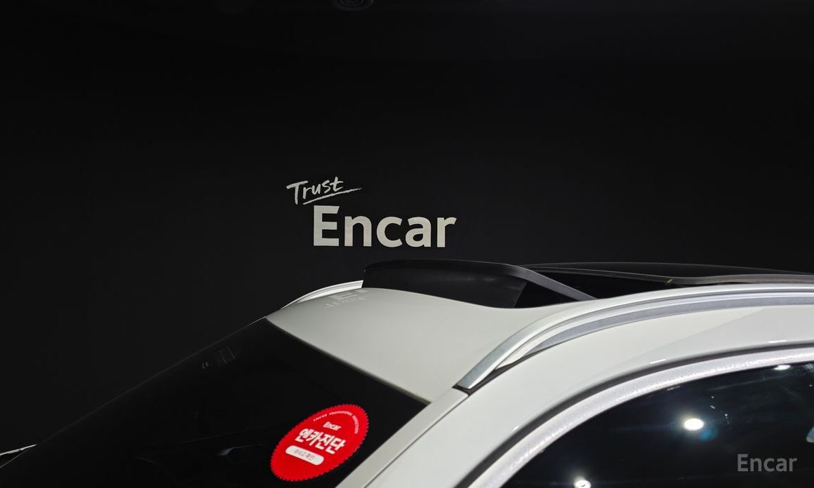 X6 (G06)xDrive30d M Sport 21