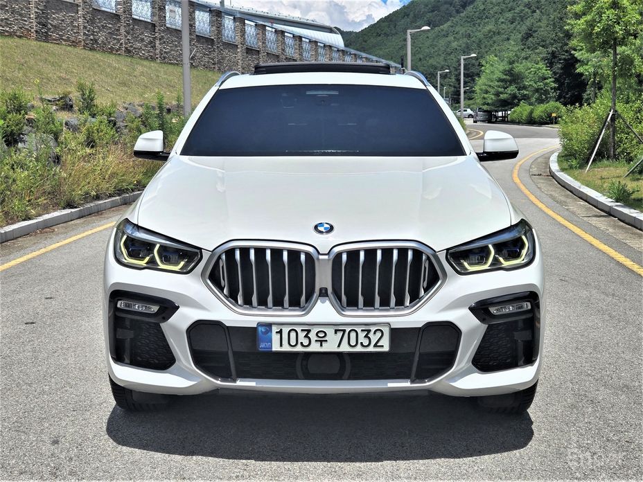 X6 (G06)xDrive40i M Sport 4