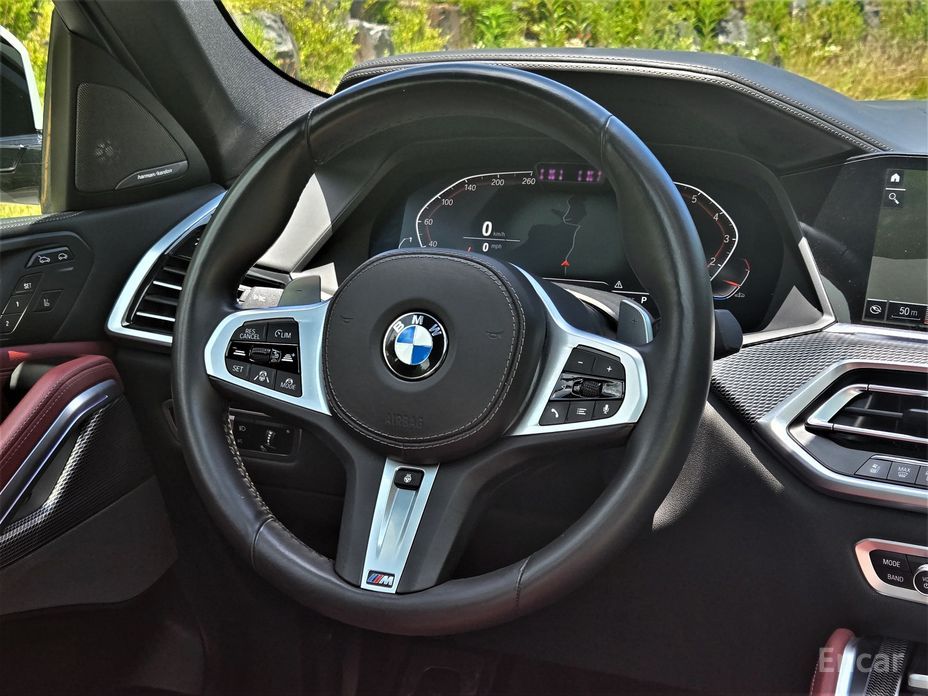 X6 (G06)xDrive40i M Sport 19