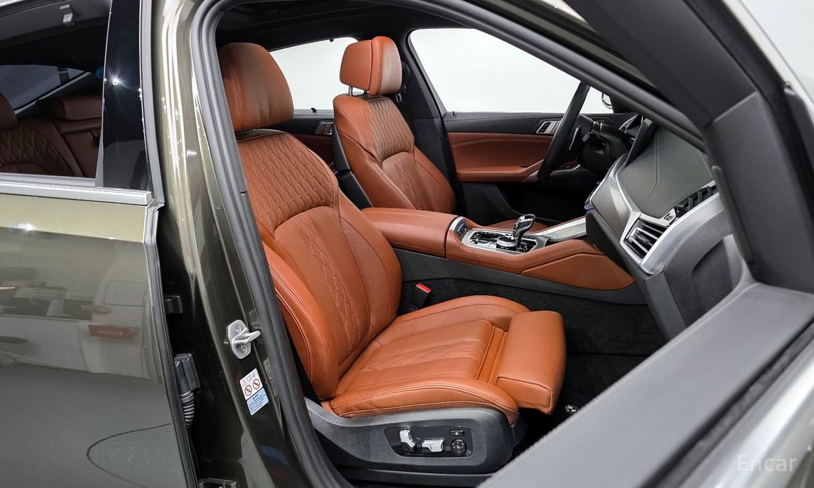X6 (G06)xDrive40i M Sport 11