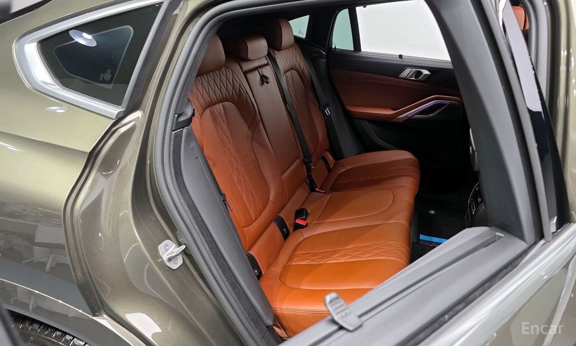 X6 (G06)xDrive40i M Sport 13