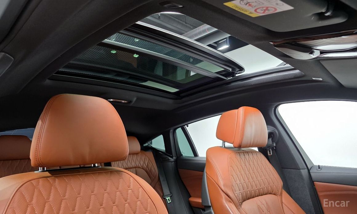 X6 (G06)xDrive40i M Sport 18