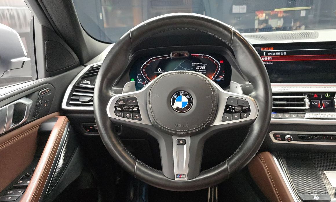 X6 (G06)xDrive40i M Sport 14