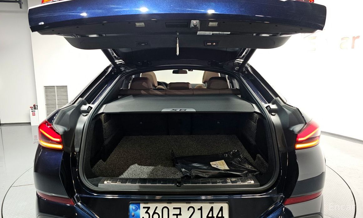 X6 (G06)xDrive40i M Sport 20