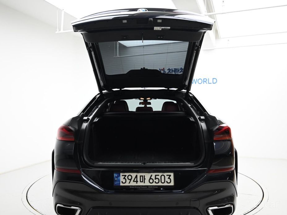 X6 (G06)xDrive40i M Sport 21