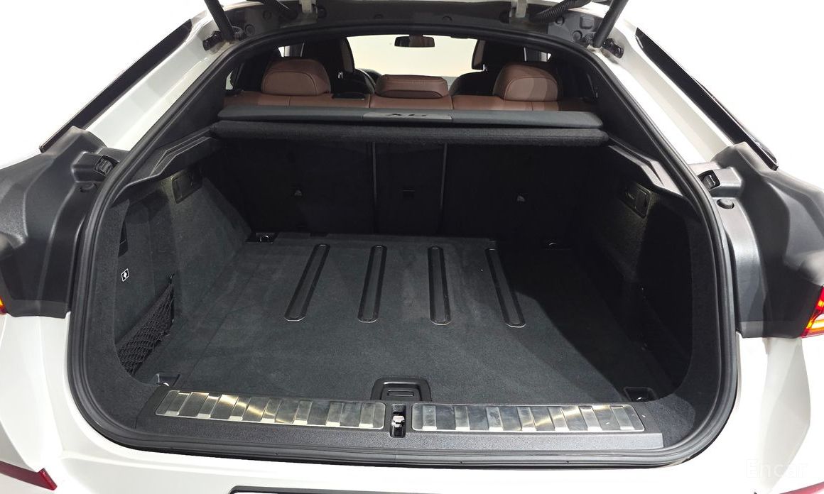 X6 (G06)xDrive40i M Sport 21