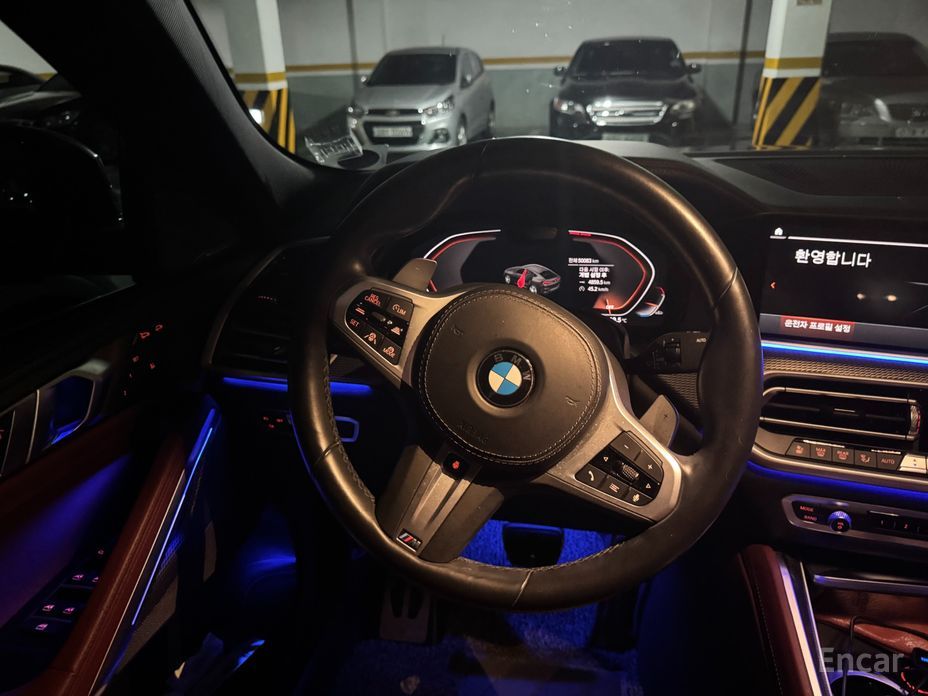 X6 (G06)xDrive40i M Sport 10