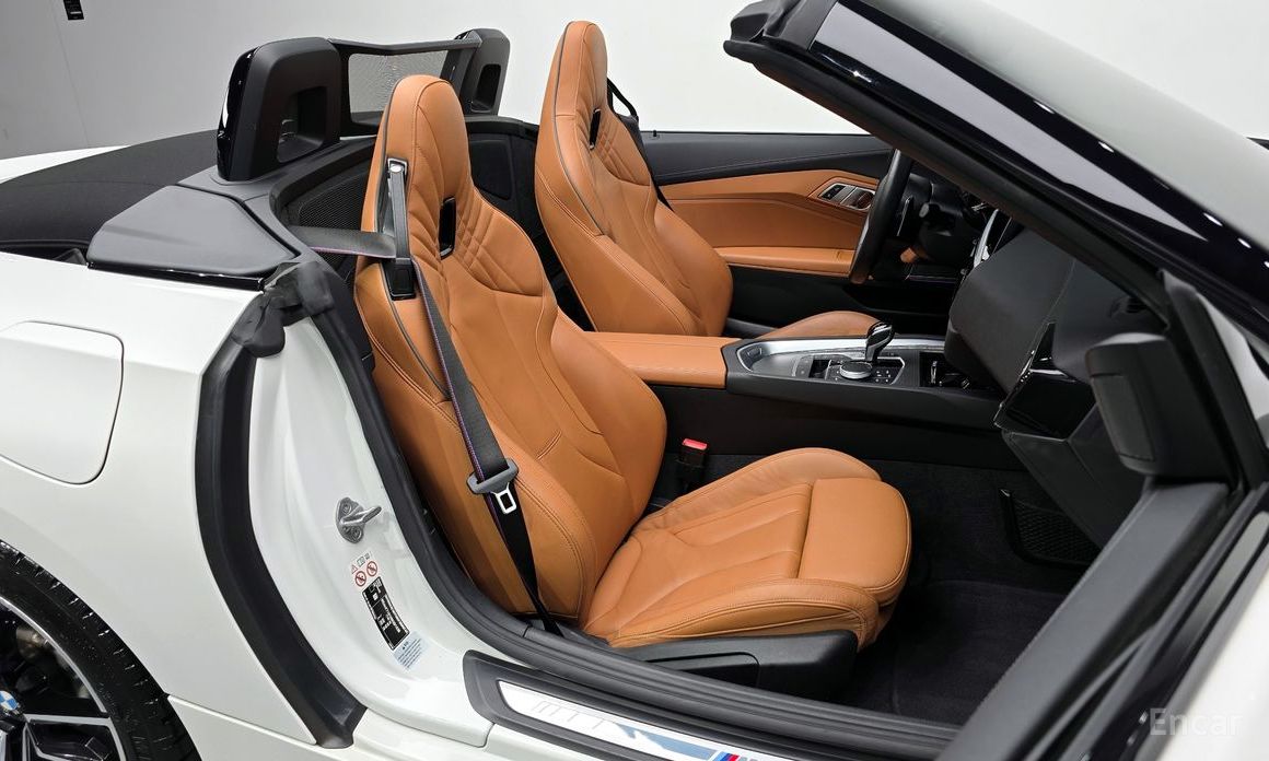 Z4 (G29)sDrive20i M Sport 11