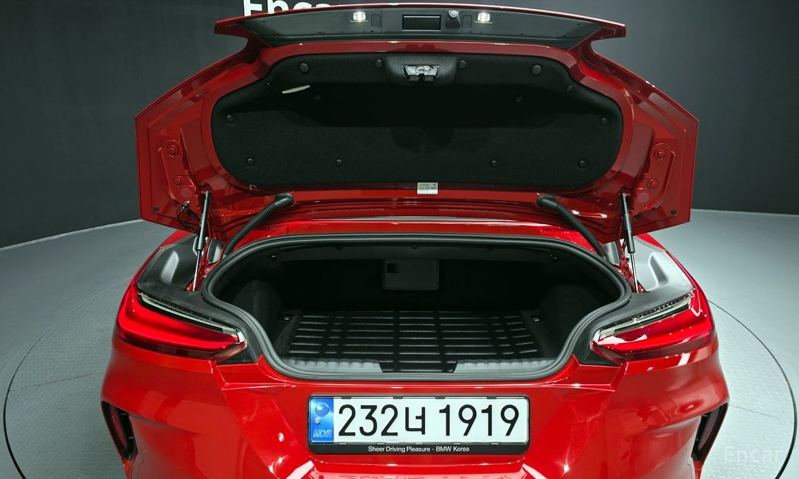 Z4 (G29)sDrive20i M Sport 19