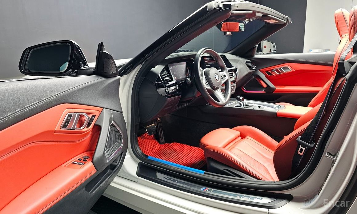 Z4 (G29)sDrive20i M Sport 12
