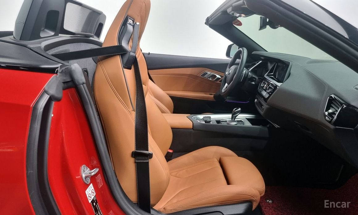 Z4 (G29)sDrive20i Sport 11